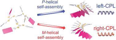 Graphical abstract: Circular dichroism and circularly polarized luminescence triggered by self-assembly of tris(phenylisoxazolyl)benzenes possessing a perylenebisimide moiety