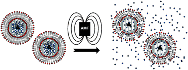 Graphical abstract: Triggered release in lipid bilayer-capped mesoporous silica nanoparticles containing SPION using an alternating magnetic field