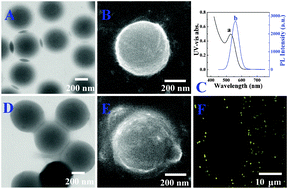 Graphical abstract: Modular design of an ultrahigh-intensity nanoparticle probe for cancer cell imaging and rapid visual detection of nucleic acids