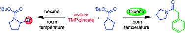 Graphical abstract: Ambient temperature zincation of N-Boc pyrrolidine and its solvent dependency