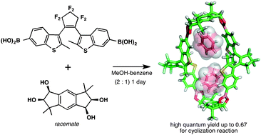 Graphical abstract: Guest-induced self-assembly of a macrocyclic boronic ester containing diarylethene units: enhancement of photoresponsivity