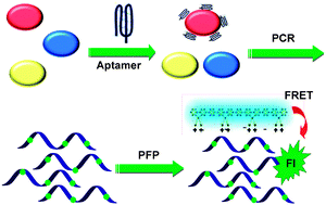 Graphical abstract: Aptamer-based polymerase chain reaction for ultrasensitive cell detection