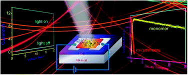 Graphical abstract: Self-assembly of twisted tetrachloroperylenediimide chromophores into two dimensional brick-stone aggregates: exciton dynamics and photoconductivity