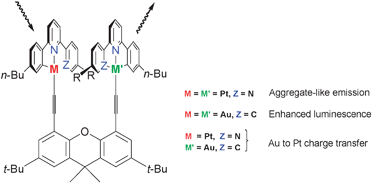 Graphical abstract: Divergent luminescence behaviour from differential interactions in dinuclear Pt, Au, and mixed Pt–Au complexes built on a xanthene scaffold
