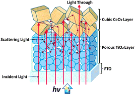 Graphical abstract: Cubic CeO2 nanoparticles as mirror-like scattering layers for efficient light harvesting in dye-sensitized solar cells