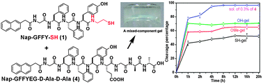 Graphical abstract: A novel mixed-component molecular hydrogel system with excellent stabilities