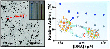 Graphical abstract: Stimuli-responsive peroxidase mimicking at a smart graphene interface