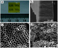 Graphical abstract: Light-regulated ion transport through artificial ion channels based on TiO2 nanotubular arrays