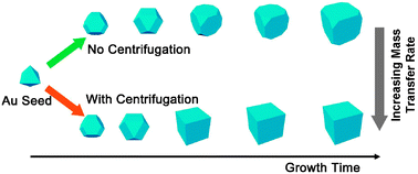 Graphical abstract: Identifying mass transfer influences on Au nanoparticles growth process by centrifugation