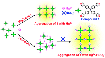 Graphical abstract: Turn-on of the fluorescence of tetra(4-pyridylphenyl)ethylene by the synergistic interactions of mercury(ii) cation and hydrogen sulfate anion
