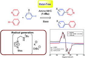 Graphical abstract: Metal-free arylation of benzene and pyridine promoted by amino-linked nitrogen heterocyclic carbenes