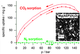 Graphical abstract: Magnesium aminoethyl phosphonate (Mg(AEP)(H2O)): an inorganic–organic hybrid nanomaterial with high CO2 : N2 sorption selectivity