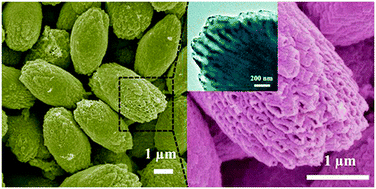 Graphical abstract: Unusual CoS2 ellipsoids with anisotropic tube-like cavities and their application in supercapacitors