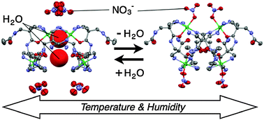 Graphical abstract: Reversible structural switch in the nano-cavity of crystalline metallo-macrocycles with smooth ligand exchange by non-coordinating guest stimuli