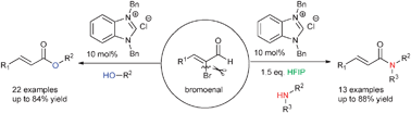 Graphical abstract: NHC-catalyzed C–O or C–N bond formation: efficient approaches to α,β-unsaturated esters and amides