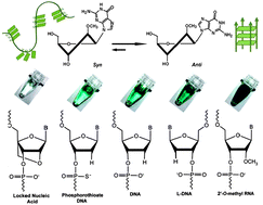 Graphical abstract: Backbone modification promotes peroxidase activity of G-quadruplex-based DNAzyme