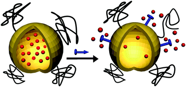 Graphical abstract: Selective non-covalent triggered release from liposomes
