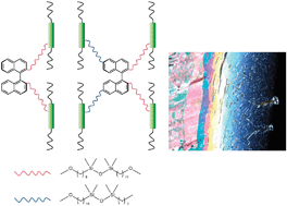 Graphical abstract: Chiral nematic organo-siloxane oligopodes based on an axially chiral binaphthalene core