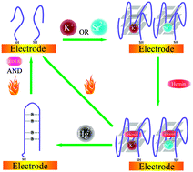 Graphical abstract: A set of logic gates fabricated with G-quadruplex assembled at an electrode surface