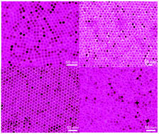 Graphical abstract: Shape-tailoring of CuPd nanocrystals for enhancement of electro-catalytic activity in oxygen reduction reaction