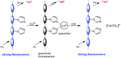 Graphical abstract: An indirect approach for anion detection: the displacement strategy and its application