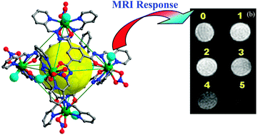 Graphical abstract: A hexanuclear gadolinium–organic octahedron as a sensitive MRI contrast agent for selectively imaging glucosamine in aqueous media