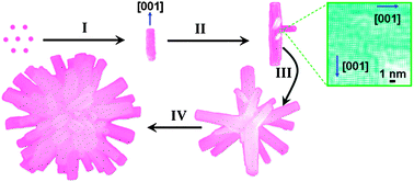 Graphical abstract: Hierarchical nanostructures of fluorinated and naked Ta2O5 single crystalline nanorods: hydrothermal preparation, formation mechanism and photocatalytic activity for H2 production