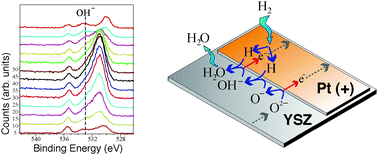 Graphical abstract: Electrochemical intermediate species and reaction pathway in H2 oxidation on solid electrolytes