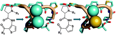 Graphical abstract: Helical folding in heterogeneous foldamers without inter-residual backbone hydrogen-bonding