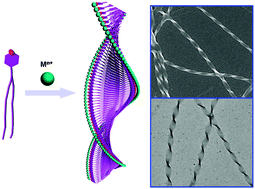 Graphical abstract: Universal chiral twist via metal ion induction in the organogel of terephthalic acid substituted amphiphilic l-glutamide