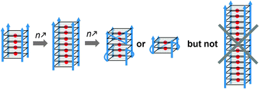 Graphical abstract: d(TGnT) DNA sequences do not necessarily form tetramolecular G-quadruplexes