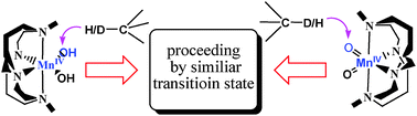 Graphical abstract: Kinetics of hydrogen abstraction by active metal hydroxo and oxo intermediates: revealing their unexpected similarities in the transition state