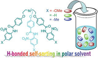 Graphical abstract: Narcissistic self-sorting of hydrogen-bonded dimeric capsules formed through self-assembly of flexible tripodal receptors in polar solvents