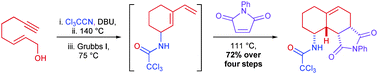 Graphical abstract: Discovery of a multi-bond forming, four-step tandem process: construction of drug-like polycyclic scaffolds