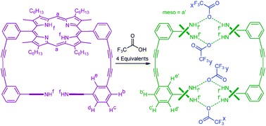 Graphical abstract: Host–guest interactions in acid–porphyrin complexes