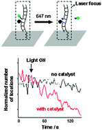 Graphical abstract: Hybridization and reaction-based fluorogenic nucleic acid probes