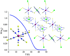 Graphical abstract: First magnets based on thiocyanato-bridges