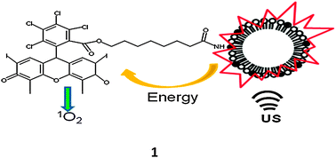 Graphical abstract: Microbubble–sonosensitiser conjugates as therapeutics in sonodynamic therapy