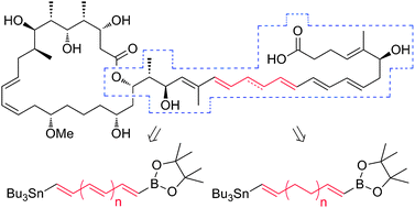 Graphical abstract: Efficient synthesis of diverse hetero-bis-metallated alkenes as modular reagents towards highly conjugated and isolated olefinic systems