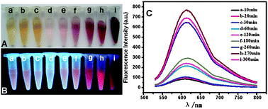 Graphical abstract: Synthesis of fluorescent Ag nanoclusters and their application in α-l-fucosidase detection