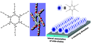 Graphical abstract: Ultrafine nanofibers fabricated from an arylene–ethynylene macrocyclic molecule using surface assisted self-assembly