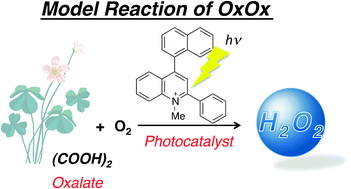 Graphical abstract: Photocatalytic production of hydrogen peroxide by two-electron reduction of dioxygen with carbon-neutral oxalate using a 2-phenyl-4-(1-naphthyl)quinolinium ion as a robust photocatalyst