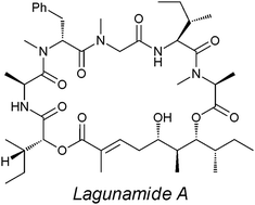 Graphical abstract: Total synthesis and stereochemical revision of lagunamide A