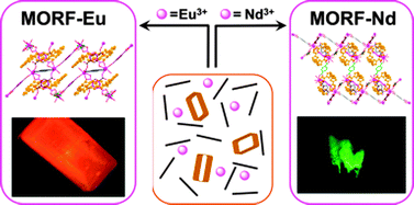 Graphical abstract: Rare-earth cation effects on three-dimensional metal–organic rotaxane framework (MORF) self assembly