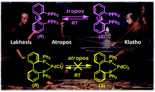 Graphical abstract: Asymmetric catalysis based on tropos ligands