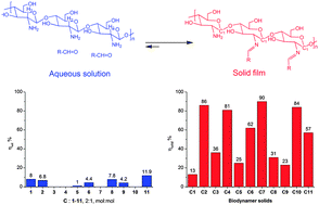 Graphical abstract: Imino-chitosan biodynamers