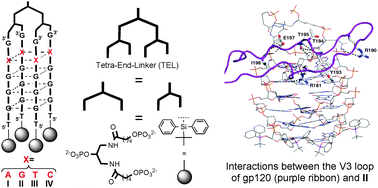 Graphical abstract: New anti-HIV aptamers based on tetra-end-linked DNA G-quadruplexes: effect of the base sequence on anti-HIV activity