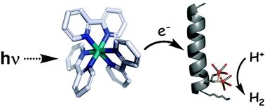 Graphical abstract: Photo-induced hydrogen production in a helical peptide incorporating a [FeFe] hydrogenase active site mimic