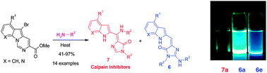 Graphical abstract: A cascade reaction of azolopyrimidines. Synthesis of unusual indole and azaindole derivatives