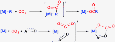 Graphical abstract: Theoretical studies of reactions of carbon dioxide mediated and catalysed by transition metal complexes